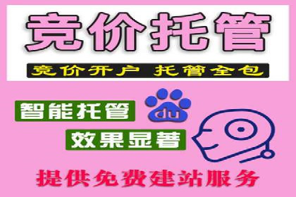 深入了解竞价推广SEM托管的运营模式——以一则经典案例为引